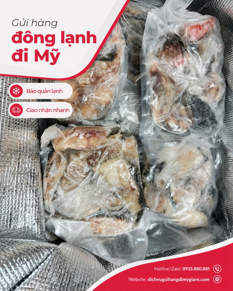 Gửi hàng đông lạnh đi Mỹ tại TPHCM